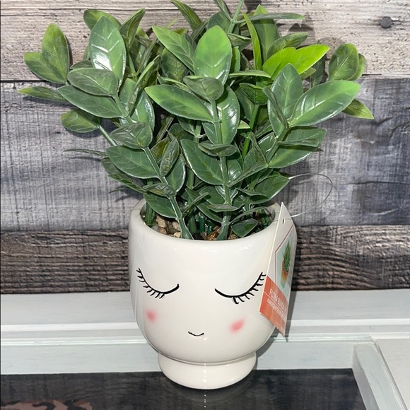 ❤️NEW!!!❤️ Home Decor Succulent Planters. - Picture 2 of 6